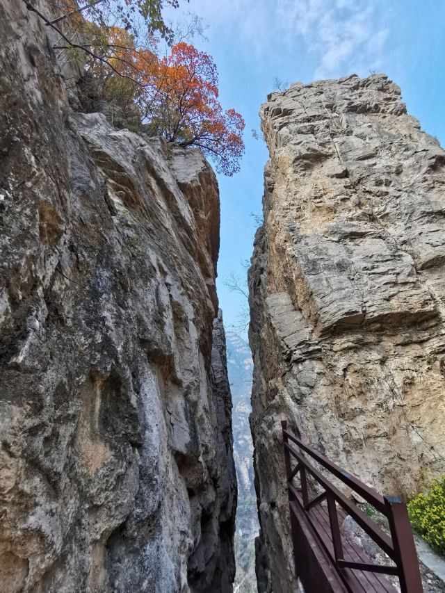 璧山景区旅行图片 1
