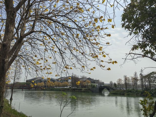 华阳湖国家湿地公园旅行图片 10