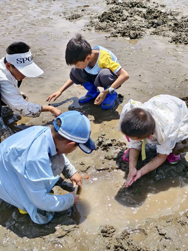赶海一号旅行图片 8