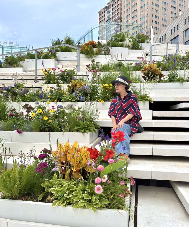 天津街广场公园旅行图片 2