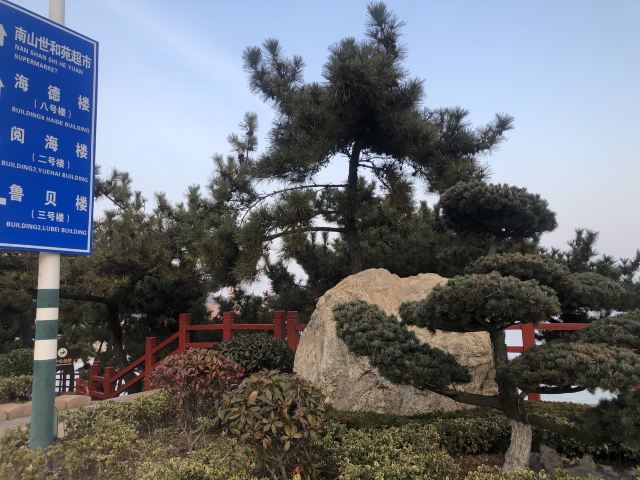石岛公园旅行图片 7