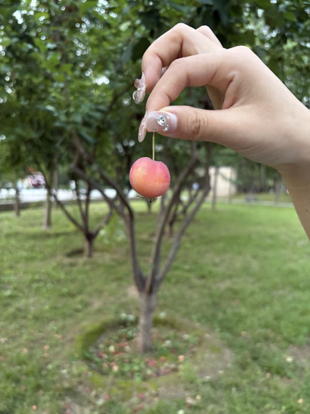 广仁王庙旅行图片 3