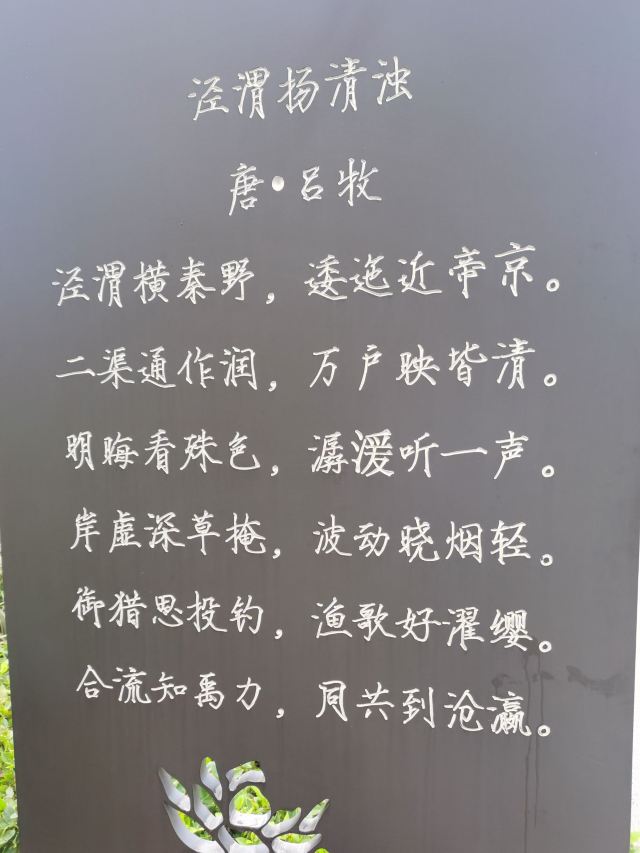 高陵泾渭湿地观光园旅行图片 7