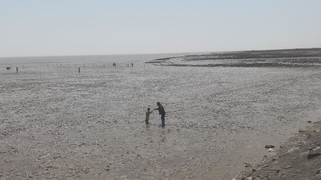 日出海湾旅行图片 5