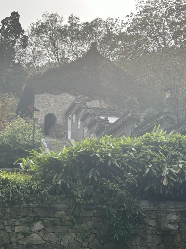 南山风景区旅行图片 1