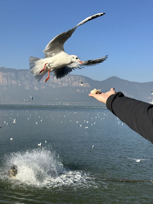 海洪湿地泼水广场旅行图片 3