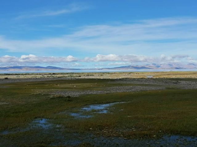 玛旁雍措湿地国家级自然保护区旅行图片 1