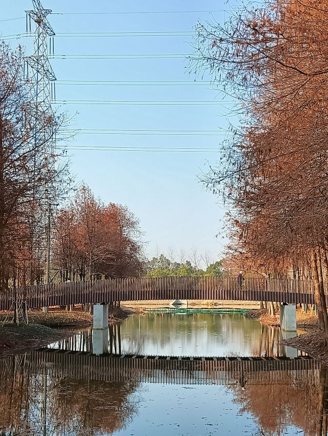 横沔公园旅行图片 10