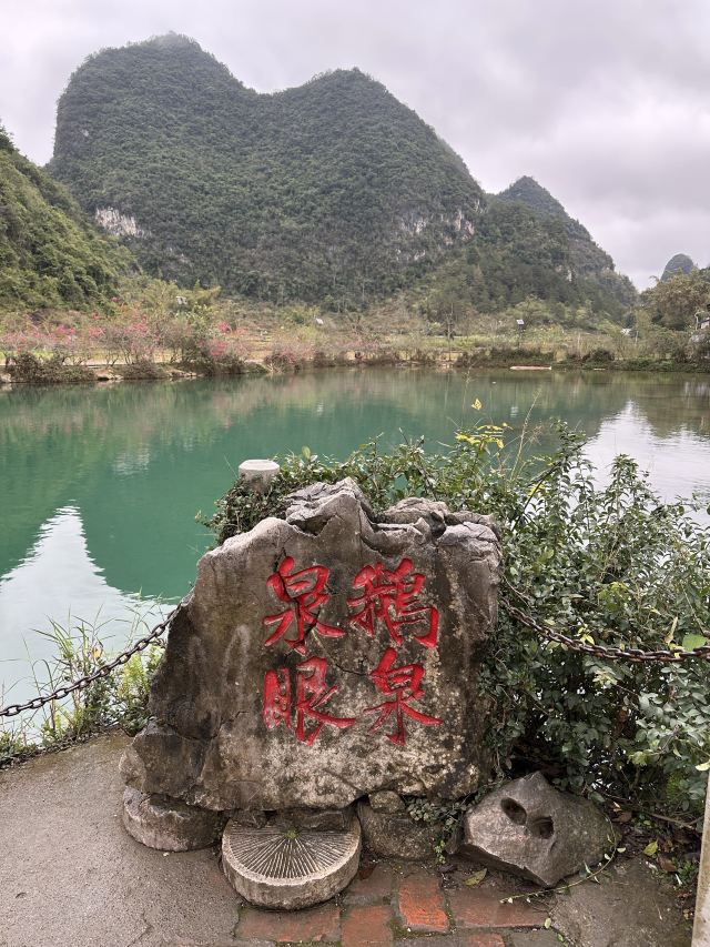 鹅泉泉眼旅行图片 3