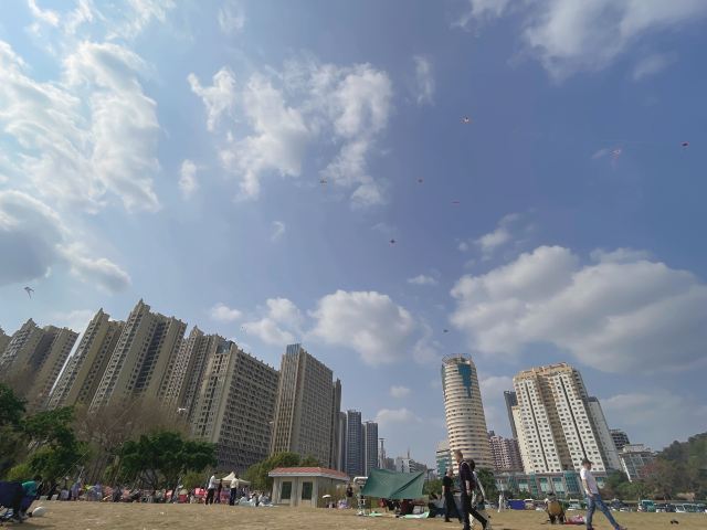 滨海公园旅行图片 9