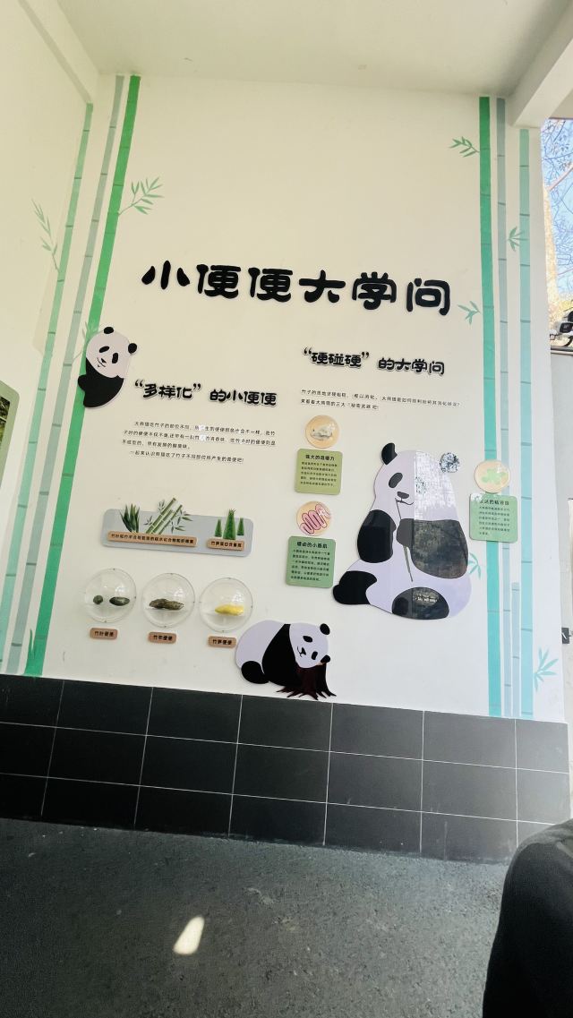 大熊猫馆旅行图片 10