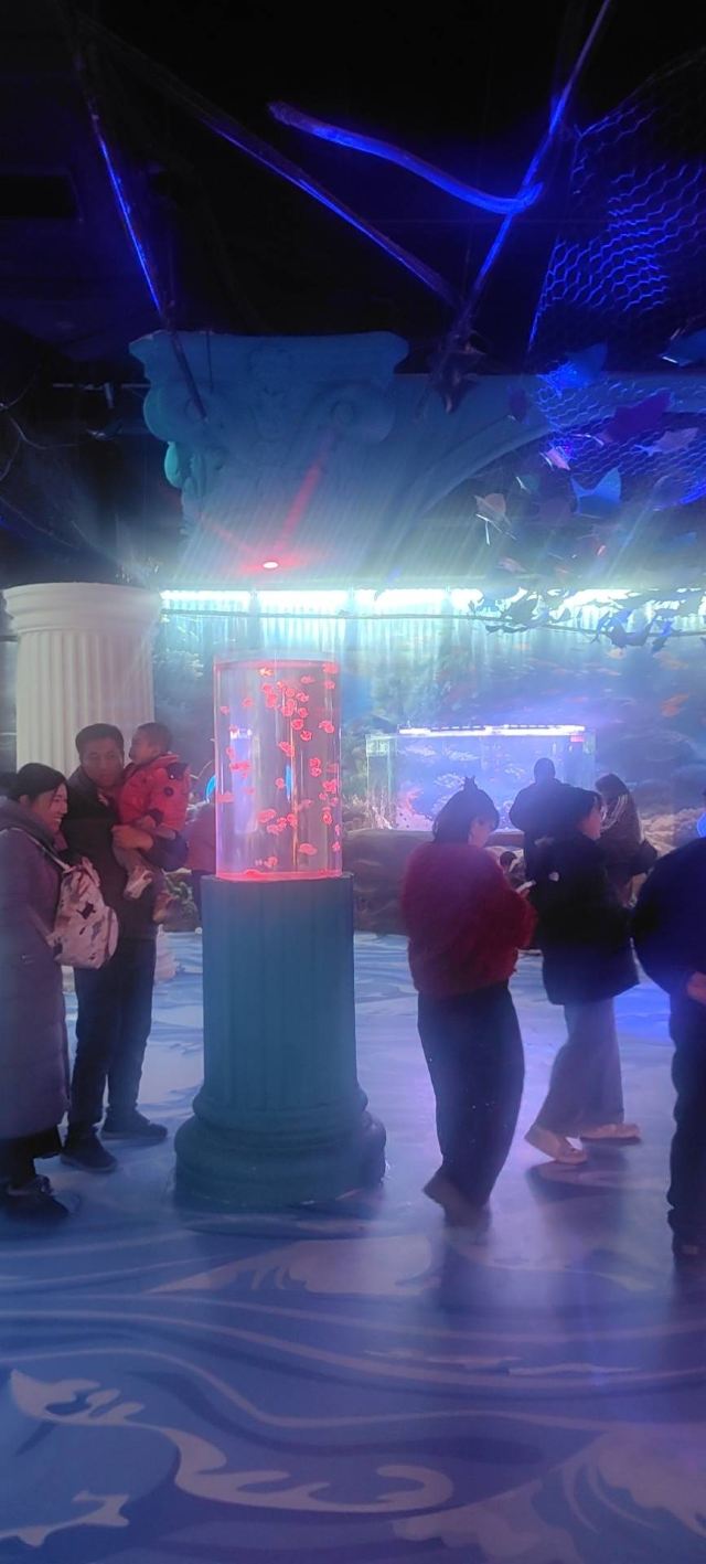 秦皇岛新澳海底世界旅行图片 3