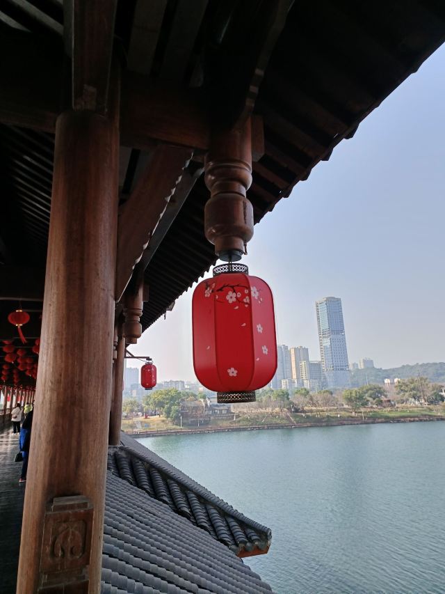 东洲岛旅行图片 2