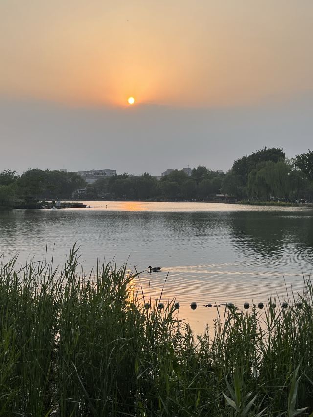 西海旅行图片 5