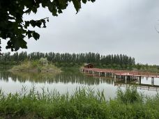 阿克苏多浪河国家湿地公园-阿克苏市-gdzhcyf6898