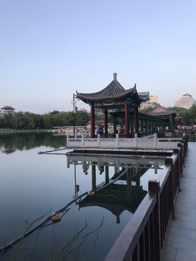莲花池公园旅行图片 1