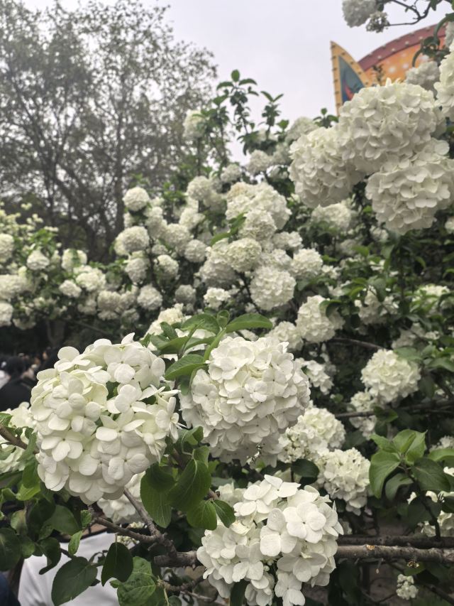 古逍遥津旅行图片 7