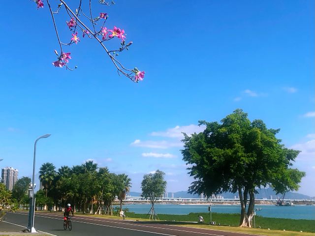 彩虹沙滩旅行图片 3