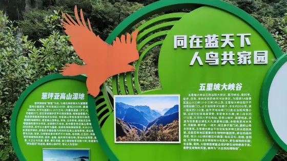 葱坪高山濕地公園