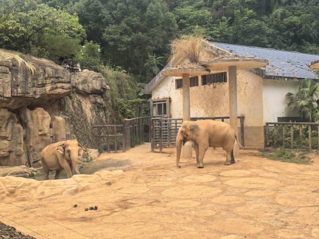 福州动物园旅行图片 4