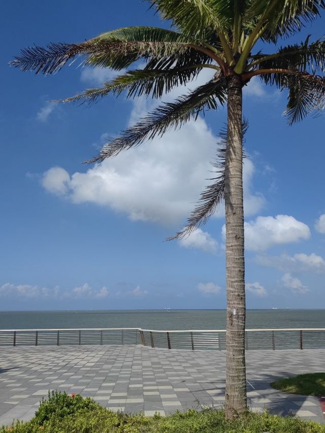 海口观海台旅行图片 3