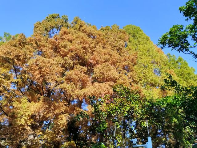 小石桥风景区旅行图片 3