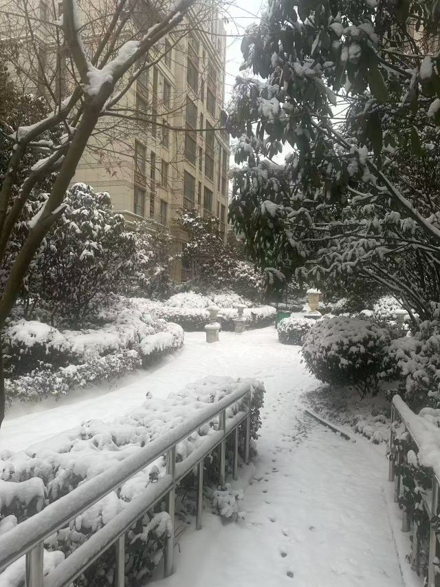 阳光星期八公园旅行图片 2