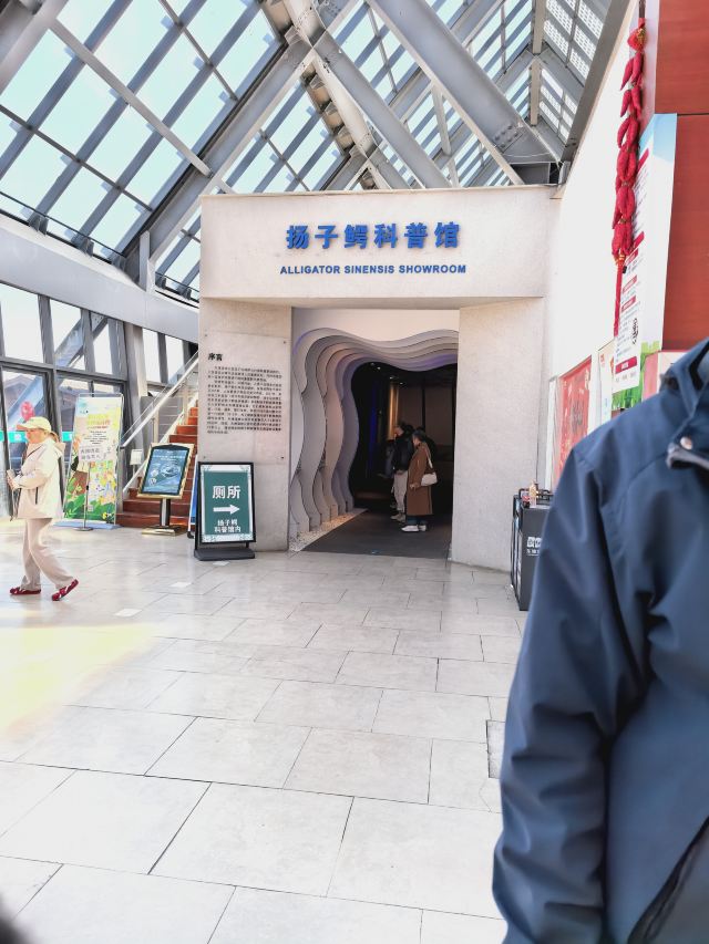 上海东滩湿地公园旅行图片 1