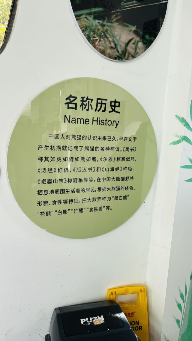 大熊猫馆旅行图片 7