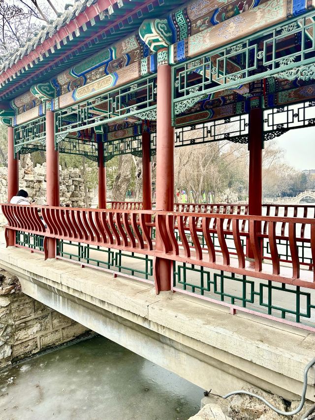 莲池书院博物馆(古莲花池)旅行图片 6