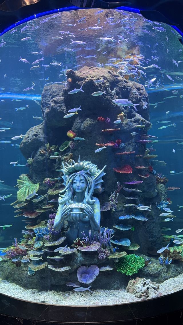 长沙湘江海洋王国旅行图片 3