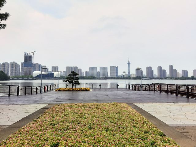 天镜湖公园旅行图片 5
