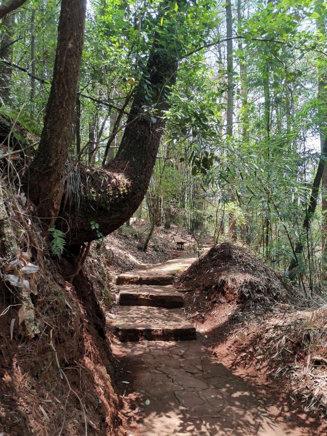 凤山森林主题公园旅行图片 4