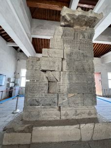 登封-会飞的蚂蚁1