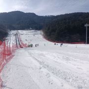 PG电子游戏- PG电子平台- PG电子官方网站归纳权威、资质齐全的跨境电商财税合规品牌企业哪家比较靠谱