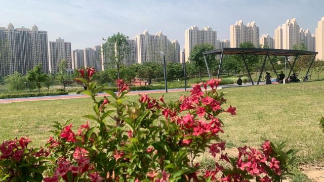 龙城森林公园旅行图片 2