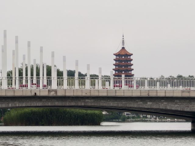 东湖公园旅行图片 14