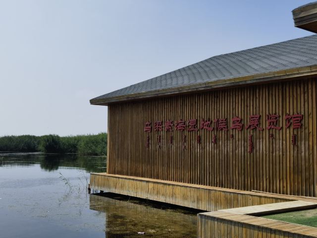 乌梁素海生态旅游景区(暂停开放)旅行图片 4