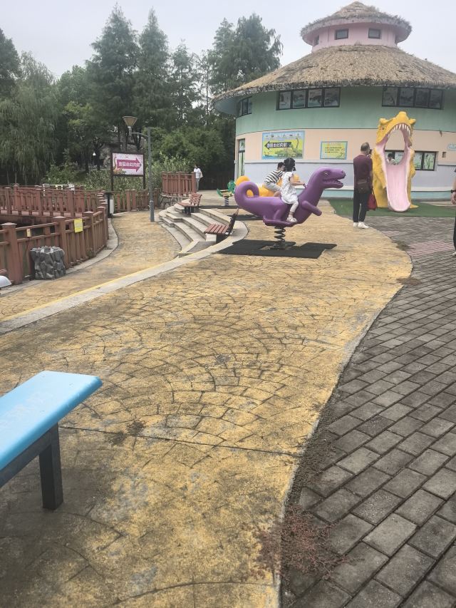 上海顾村公园旅行图片 1