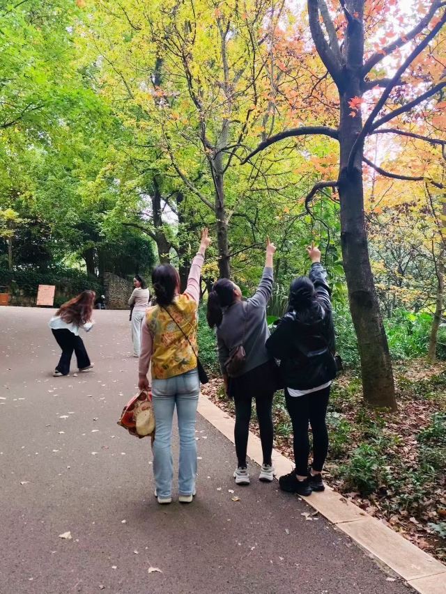 巍山古城旅行图片 4