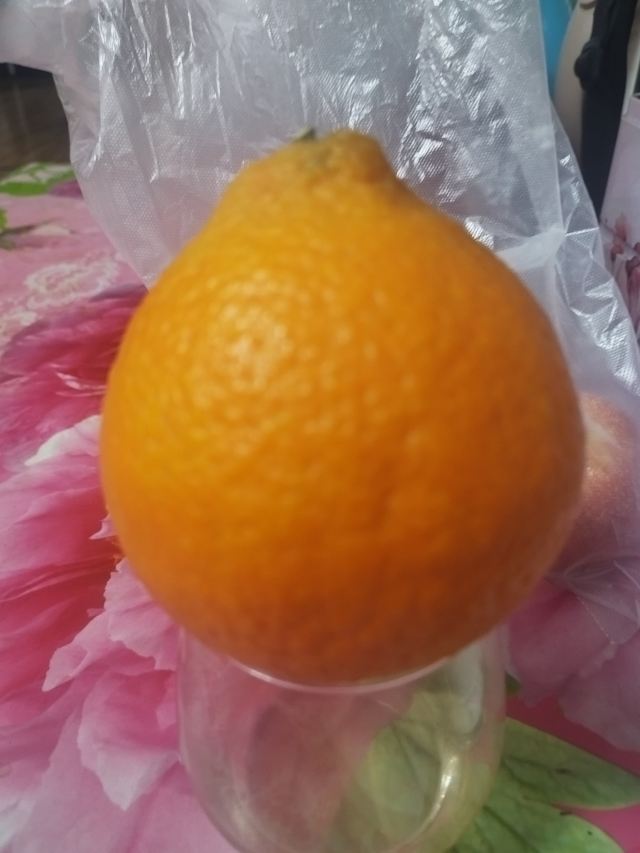 宜都市清江湾旅游度假区旅行图片 1