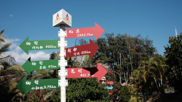 西双版纳独树成林景区旅行图片 2