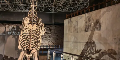 祿豐恐龍化石遺址