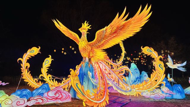 金平湖灯秀旅行图片 5