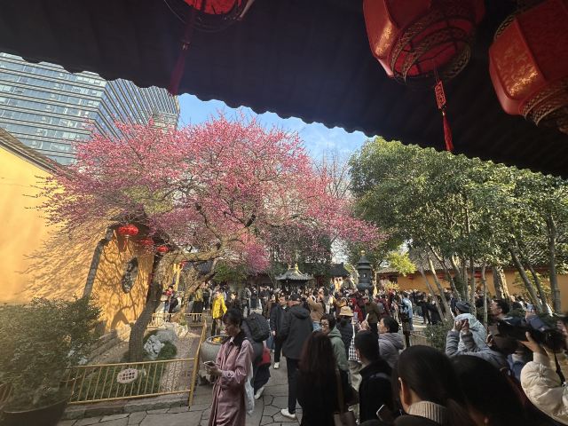 湖州铁佛寺旅行图片 2