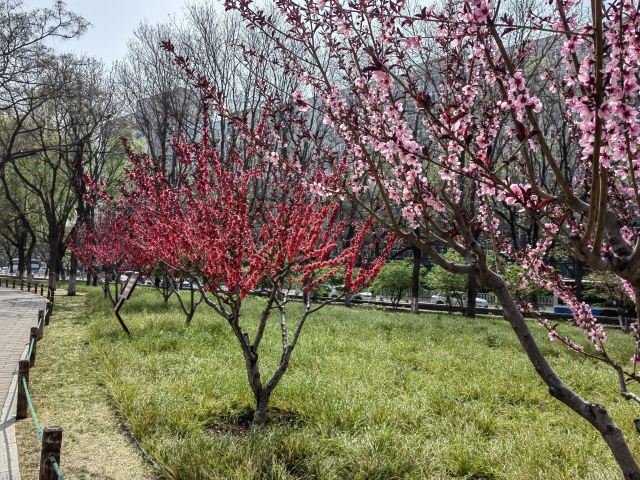 北京明城墙遗址公园旅行图片 3