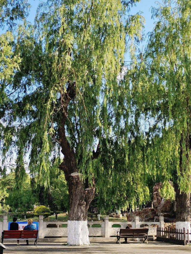 劳动公园旅行图片 1