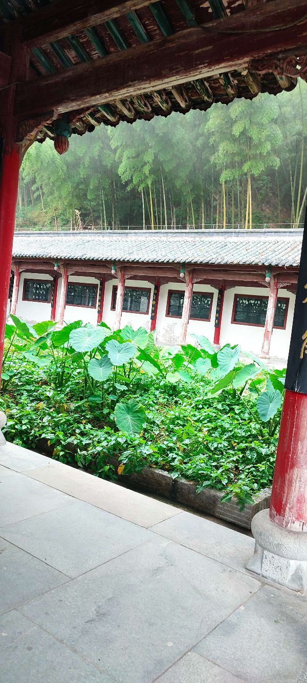 五祖寺旅行图片 1