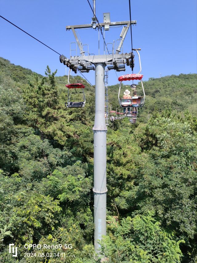 太平山旅行图片 3