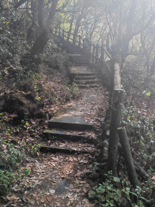 柱状节理观景台旅行图片 6